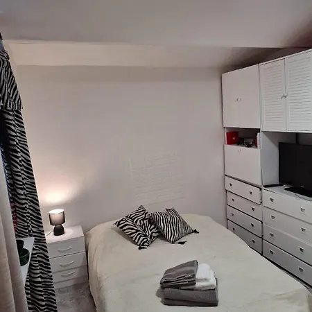 Vukmanovic Molerova Apartment