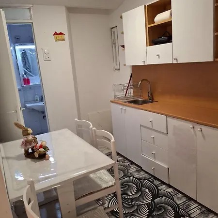 Vukmanovic Molerova Apartment *