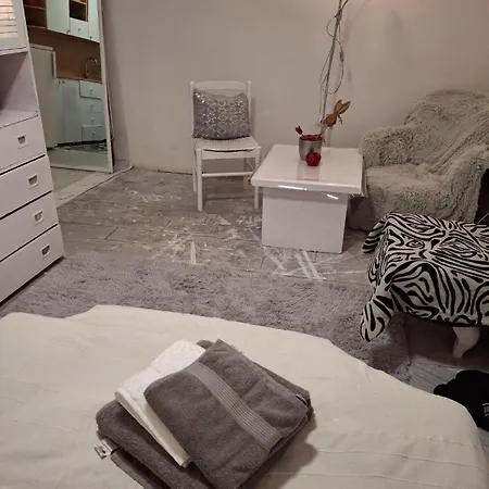 Vukmanovic Molerova Apartment